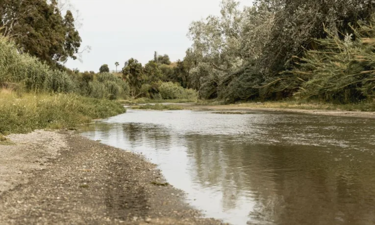 На Львівщині рівень води у річках опустився нижче багаторічних мінімумів