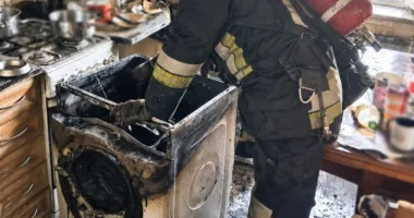У Львові через пожежу пральної машини загинули троє котів