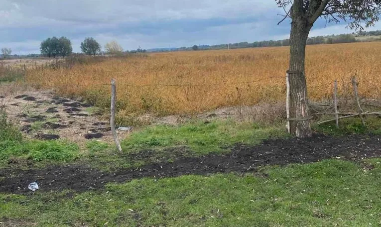 Львів через суд повертає громаді 15 гектарів землі в урочищі «Помірок»