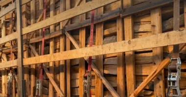 На Львівщині викрили схему незаконного експорту букових дров на 1,1 млн грн